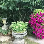 Casa vacanze Viktoria House *