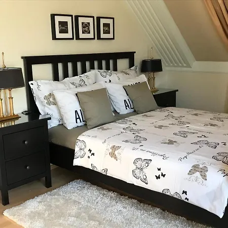 펜션 Viktoria House *