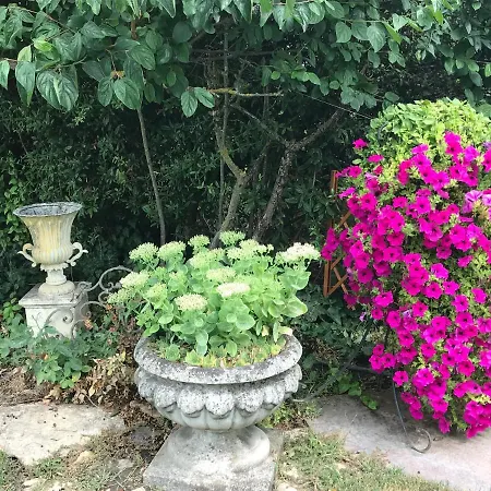 Casa de Férias Viktoria House *