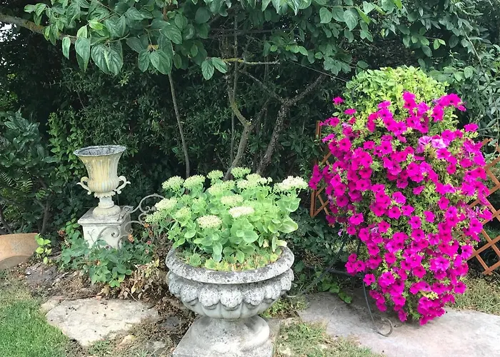 Feriehus Viktoria House *