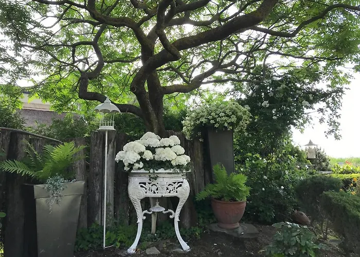 Viktoria House Feriehus Balatonszarszo