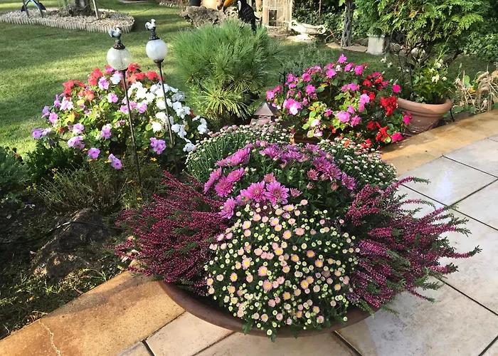 Viktoria House Feriehus Balatonszarszo